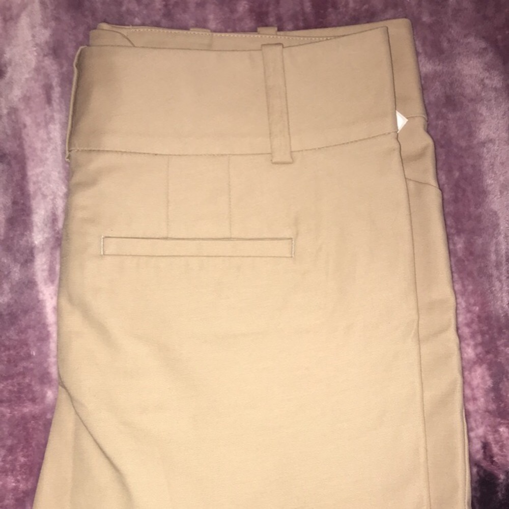 Ann Taylor Shorts